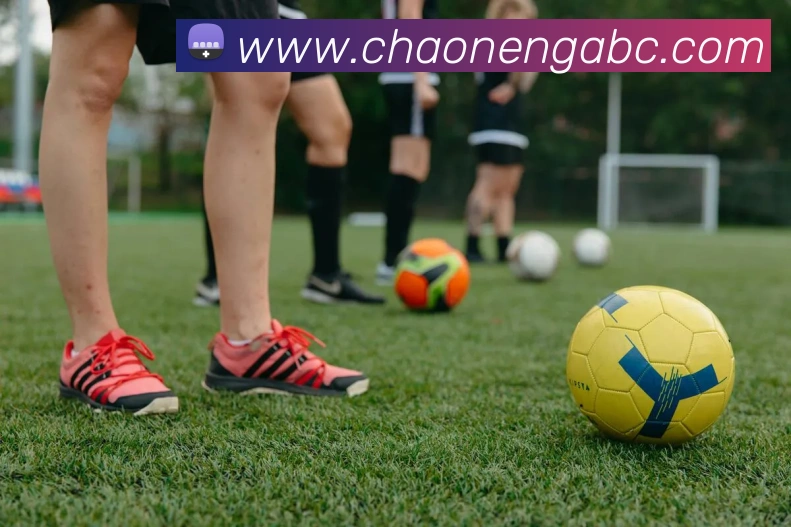 互动解说服务